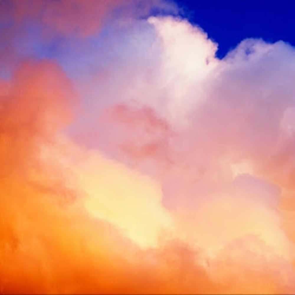 Meet your Posher, Can